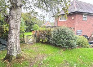 Photo 11- click for photo gallery